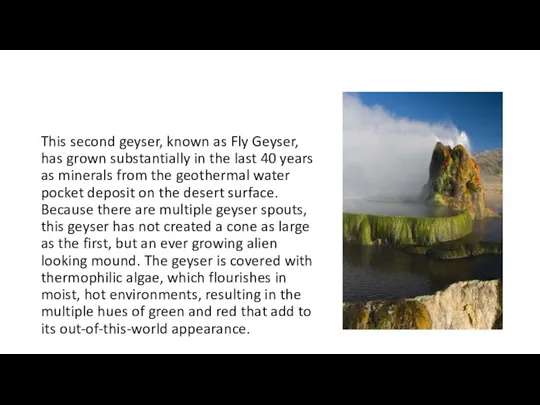 This second geyser, known as Fly Geyser, has grown substantially in the