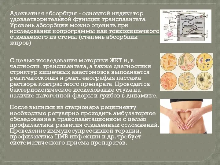 Адекватная абсорбция - основной индикатор удовлетворительной функции трансплантата. Уровень абсорбции можно оценить