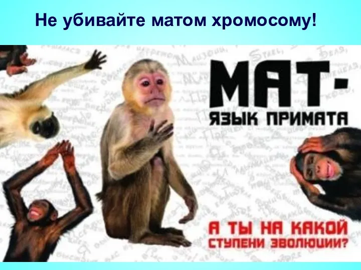 Не убивайте матом хромосому! Ученые дают однозначный ответ: бранные слова «взрываются» в