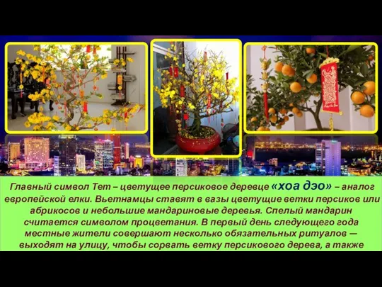 Главный символ Тет – цветущее персиковое деревце «хоа дэо» – аналог европейской