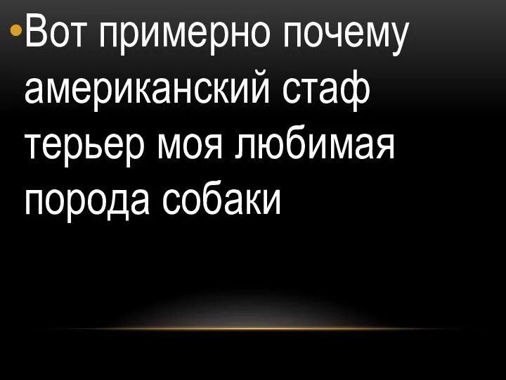 Вот примерно почему американский стаф терьер моя любимая порода собаки