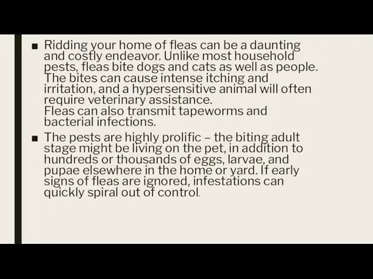 Ridding your home of fleas can be a daunting and costly endeavor.