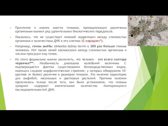 Прочтение и анализ многих геномов, принадлежащих различным организмам выявил ряд удивительных биологических