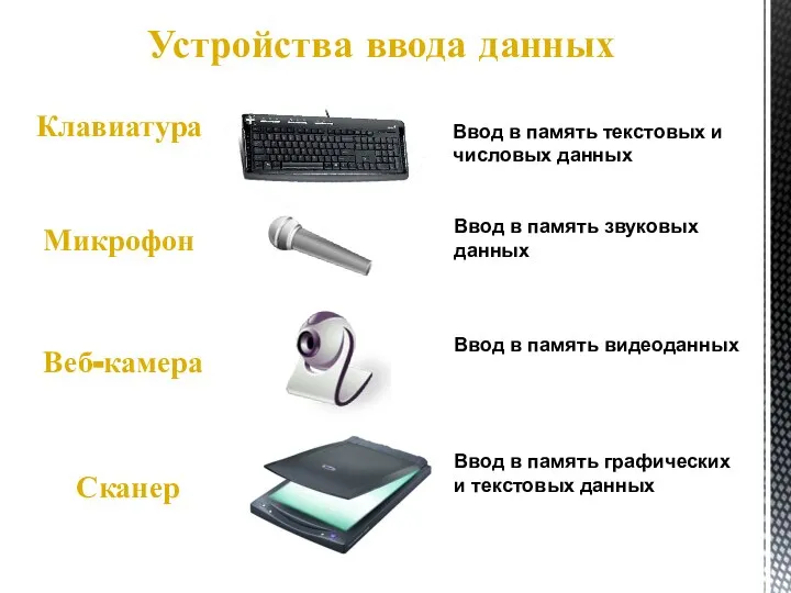 Устройства ввода данных Клавиатура Ввод в память текстовых и числовых данных Микрофон