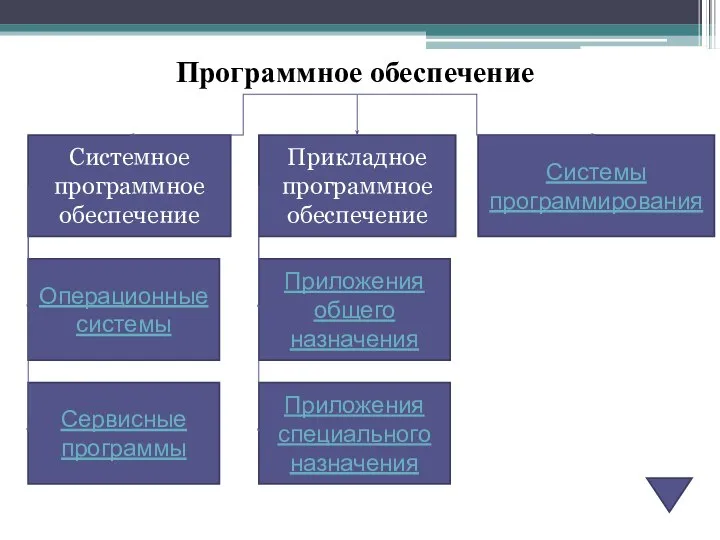 Программное обеспечение Системное программное обеспечение Прикладное программное обеспечение Системы программирования Операционные системы