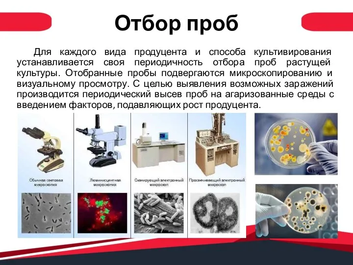 Для каждого вида продуцента и способа культивирования устанавливается своя периодичность отбора проб