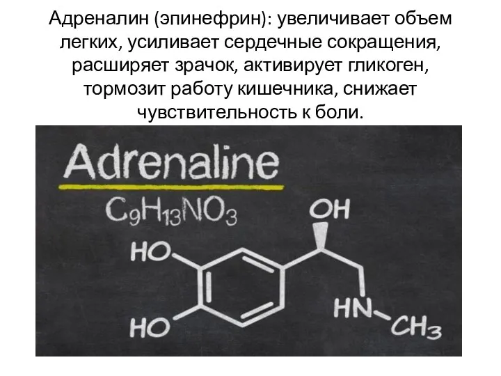 Адреналин (эпинефрин): увеличивает объем легких, усиливает сердечные сокращения, расширяет зрачок, активирует гликоген,