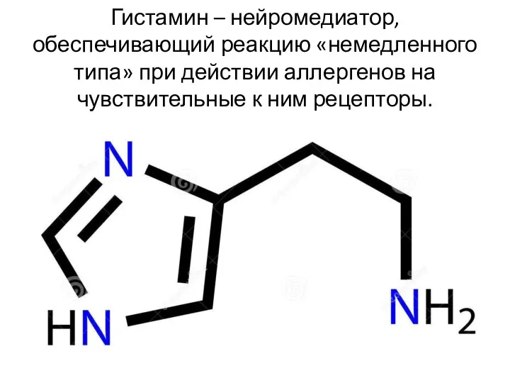 Гистамин – нейромедиатор, обеспечивающий реакцию «немедленного типа» при действии аллергенов на чувствительные к ним рецепторы.