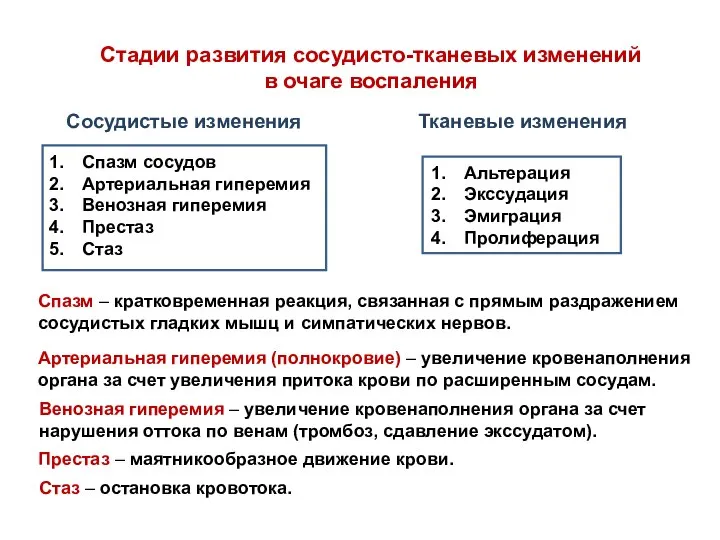 Стадии развития сосудисто-тканевых изменений в очаге воспаления Сосудистые изменения Тканевые изменения Спазм