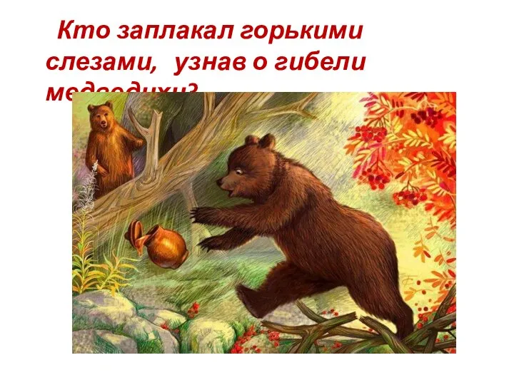 Кто заплакал горькими слезами, узнав о гибели медведихи?