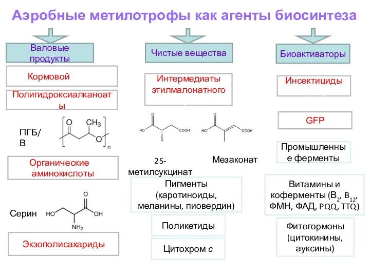 Валовые продукты Чистые вещества Биоактиваторы Полигидроксиалканоаты Интермедиаты этилмалонатного пути GFP Инсектициды бактриоцины