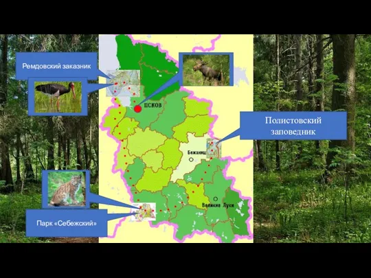 Ремдовский заказник Парк «Себежский» Полистовский заповедник