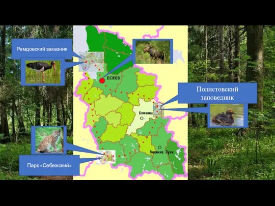 Ремдовский заказник Парк «Себежский» Полистовский заповедник