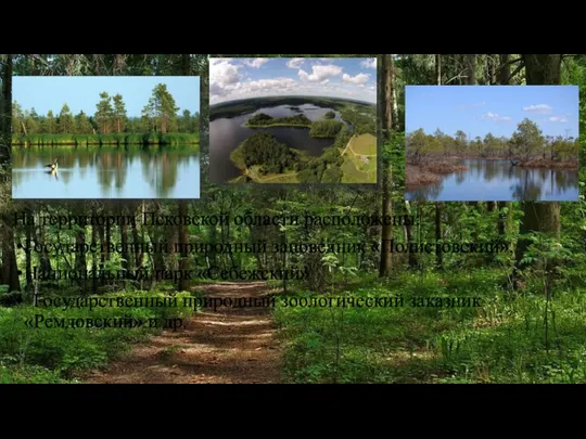 На территории Псковской области расположены: Государственный природный заповедник «Полистовский», Национальный парк «Себежский»