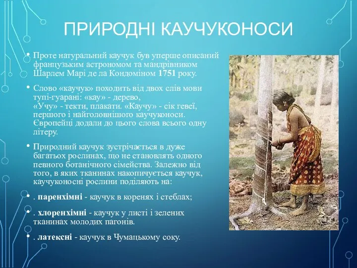 ПРИРОДНІ КАУЧУКОНОСИ Проте натуральний каучук був уперше описаний французьким астрономом та мандрівником