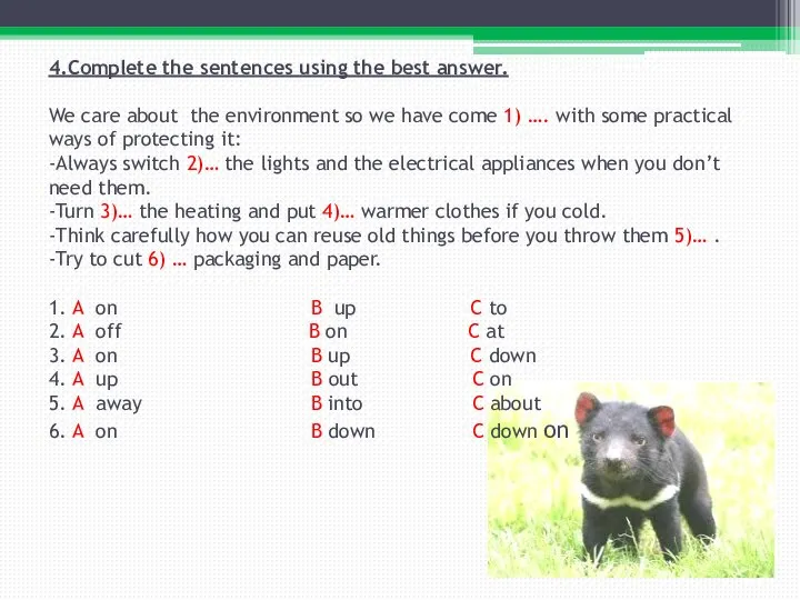 4.Complete the sentences using the best answer. We care about the environment
