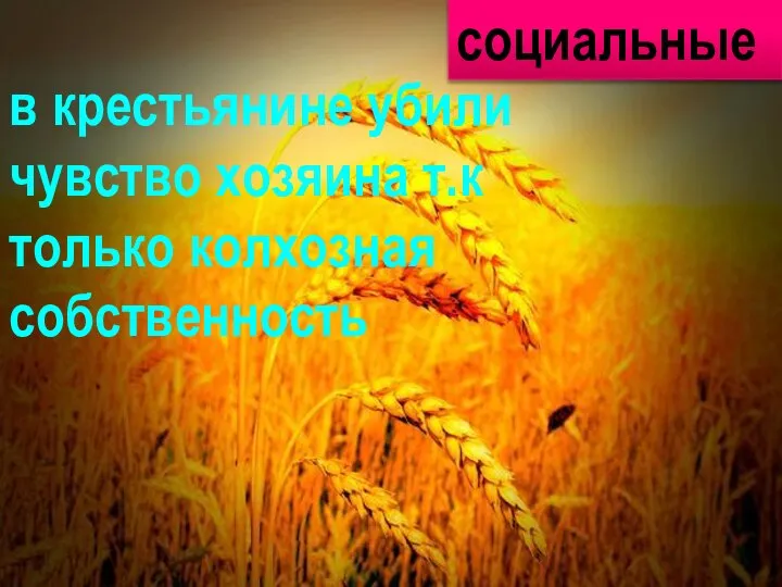 социальные в крестьянине убили чувство хозяина т.к только колхозная собственность