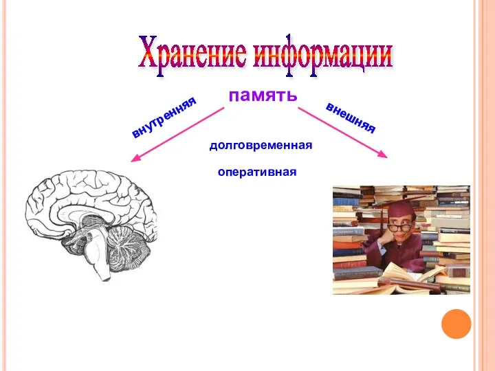 Хранение информации память внутренняя внешняя оперативная долговременная