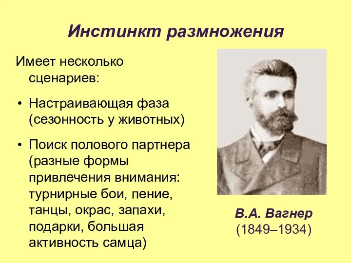 Инстинкт размножения Имеет несколько сценариев: Настраивающая фаза (сезонность у животных) Поиск полового