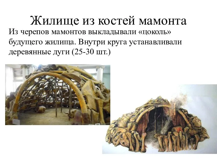 Жилище из костей мамонта Из черепов мамонтов выкладывали «цоколь» будущего жилища. Внутри