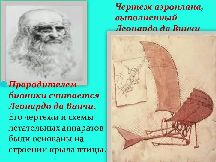 Прародителем бионики считается Леонардо да Винчи. Его чертежи и схемы летательных аппаратов