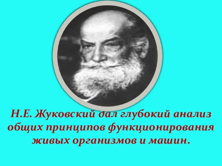 Н.Е. Жуковский дал глубокий анализ общих принципов функционирования живых организмов и машин.