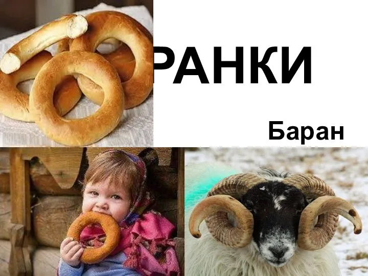 БАРАНКИ Баран