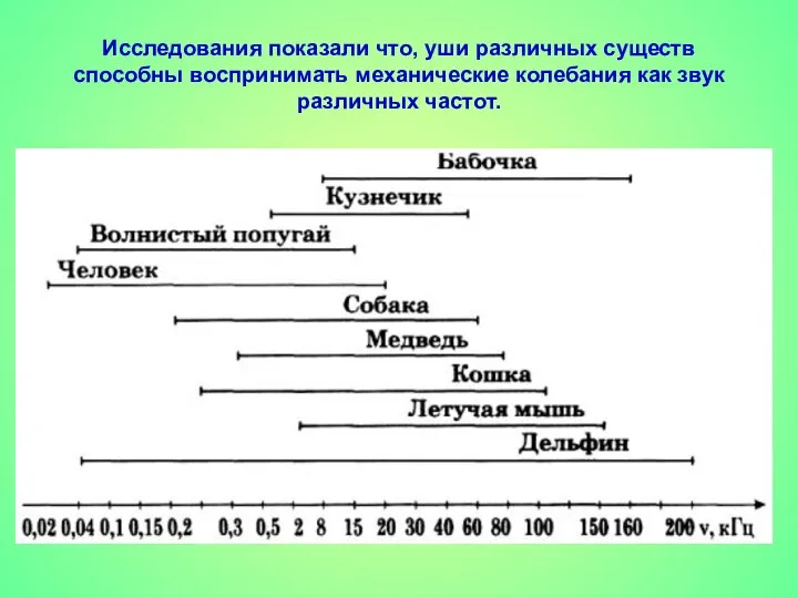 Исследования показали что, уши различных существ способны воспринимать механические колебания как звук различных частот.