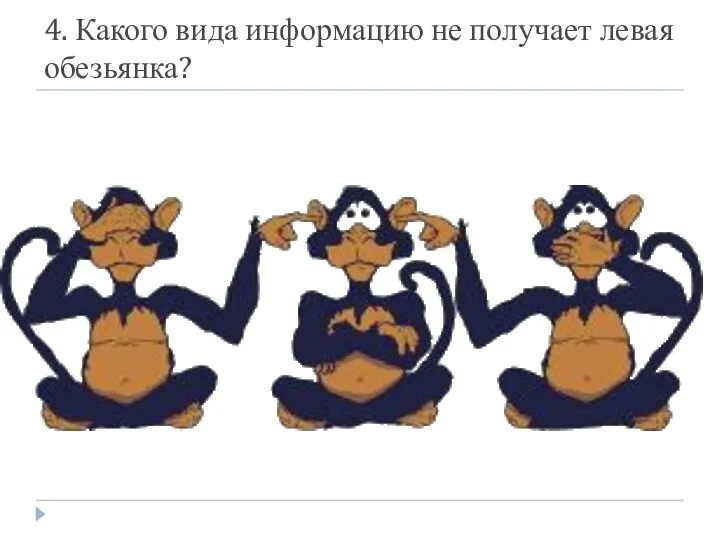 4. Какого вида информацию не получает левая обезьянка?