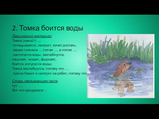 2. Томка боится воды Лексический материал Томка (какой?) ...; оглядывается, смотрит, хочет