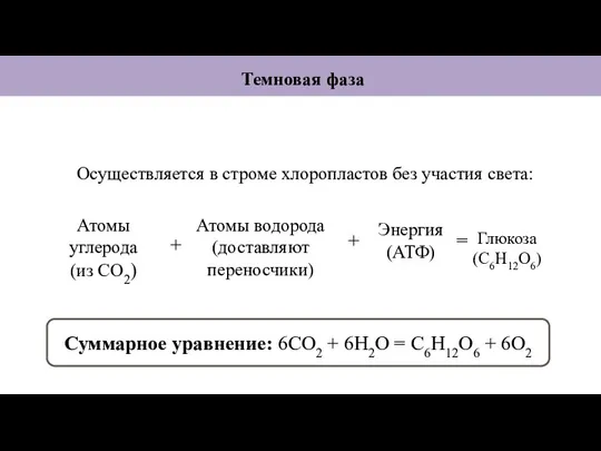 Темновая фаза Атомы углерода (из СО2) Глюкоза (С6Н12О6) Атомы водорода (доставляют переносчики)