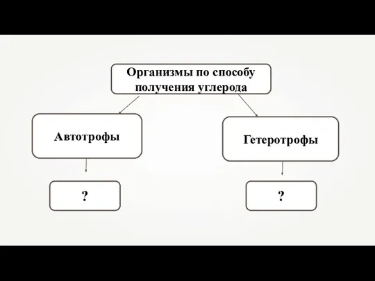 Организмы по способу получения углерода Гетеротрофы ? ?