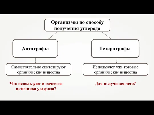 Организмы по способу получения углерода Гетеротрофы Самостоятельно синтезируют органические вещества Что используют