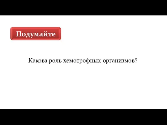 Какова роль хемотрофных организмов?