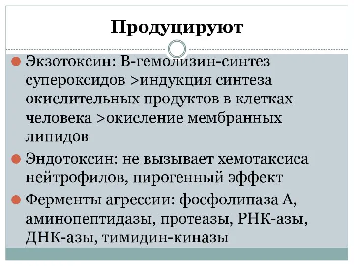 Продуцируют Экзотоксин: В-гемолизин-синтез супероксидов >индукция синтеза окислительных продуктов в клетках человека >окисление