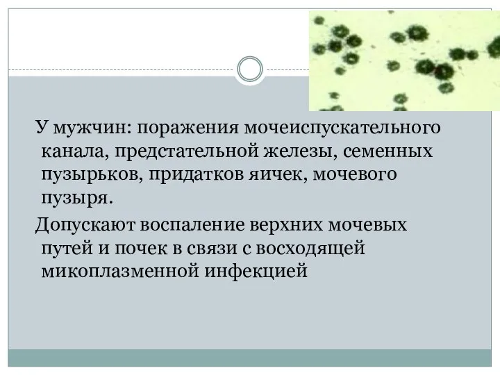 У мужчин: поражения мочеиспускательного канала, предстательной железы, семенных пузырьков, придатков яичек, мочевого