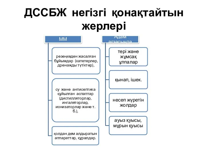 ДССБЖ негізгі қонақтайтын жерлері