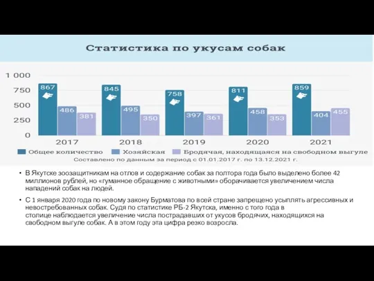 В Якутске зоозащитникам на отлов и содержание собак за полтора года было