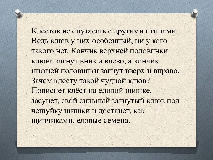 Клестов не спутаешь с другими птицами. Ведь клюв у них особенный, ни