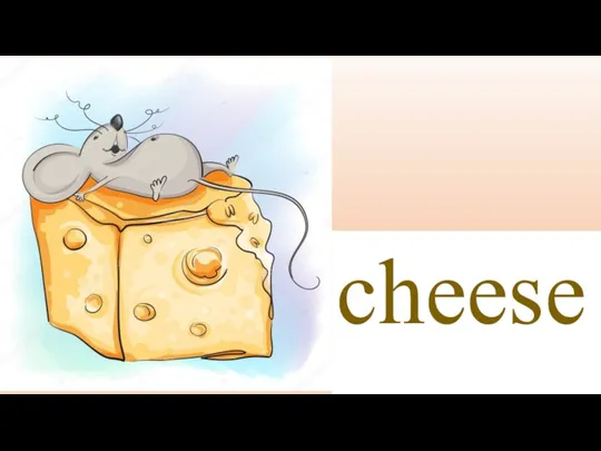 cheese