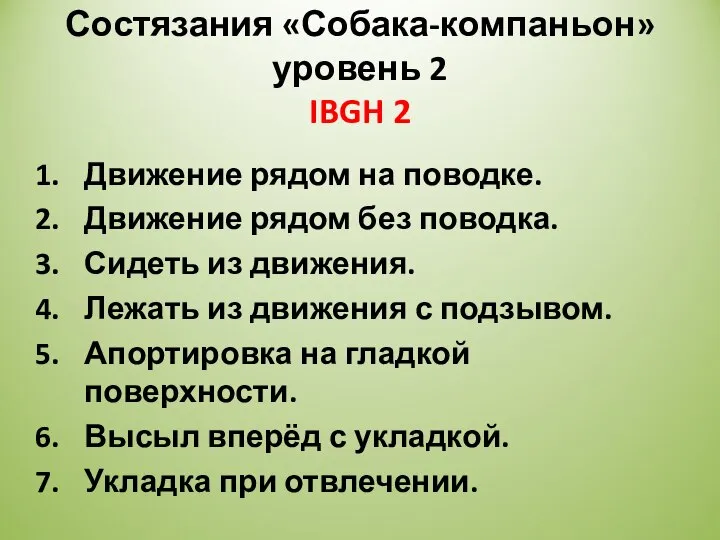 Состязания «Собака-компаньон» уровень 2 IBGH 2 Движение рядом на поводке. Движение рядом