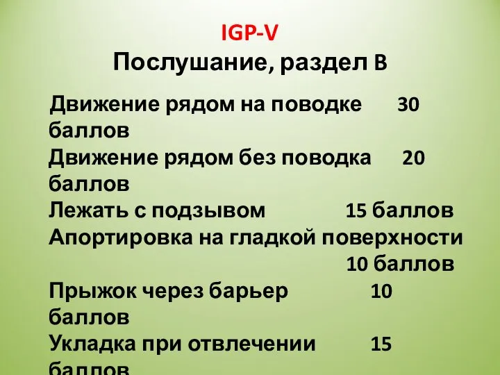 IGP-V Послушание, раздел B Движение рядом на поводке 30 баллов Движение рядом