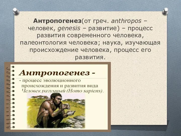 Антропогенез(от греч. anthropos – человек, genesis – развитие) – процесс развития современного