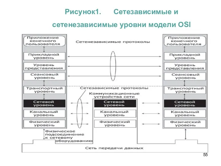 Рисунок1. Сетезависимые и сетенезависимые уровни модели OSI