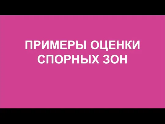 ПРИМЕРЫ ОЦЕНКИ СПОРНЫХ ЗОН