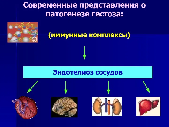 Современные представления о патогенезе гестоза: Эндотелиоз сосудов (иммунные комплексы)