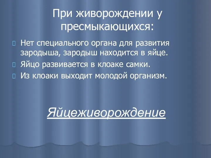 При живорождении у пресмыкающихся: Нет специального органа для развития зародыша, зародыш находится