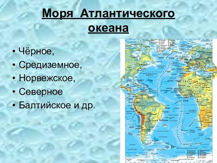 Чёрное, Средиземное, Норвежское, Северное Балтийское и др. Моря Атлантического океана