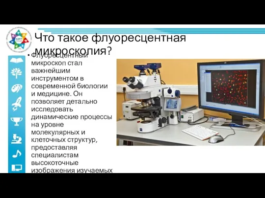 Что такое флуоресцентная микроскопия? Флуоресцентный микроскоп стал важнейшим инструментом в современной биологии