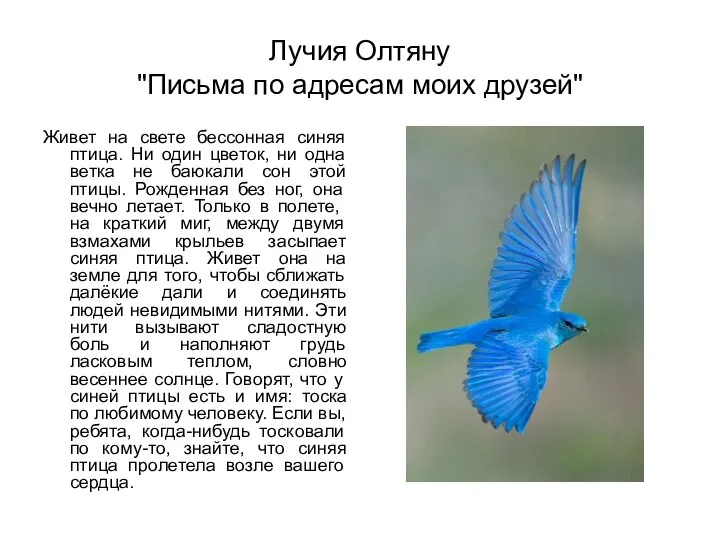 Лучия Олтяну "Письма по адресам моих друзей" Живет на свете бессонная синяя